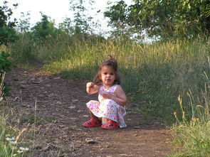 宝宝吃豆腐会导致结石吗几岁吃